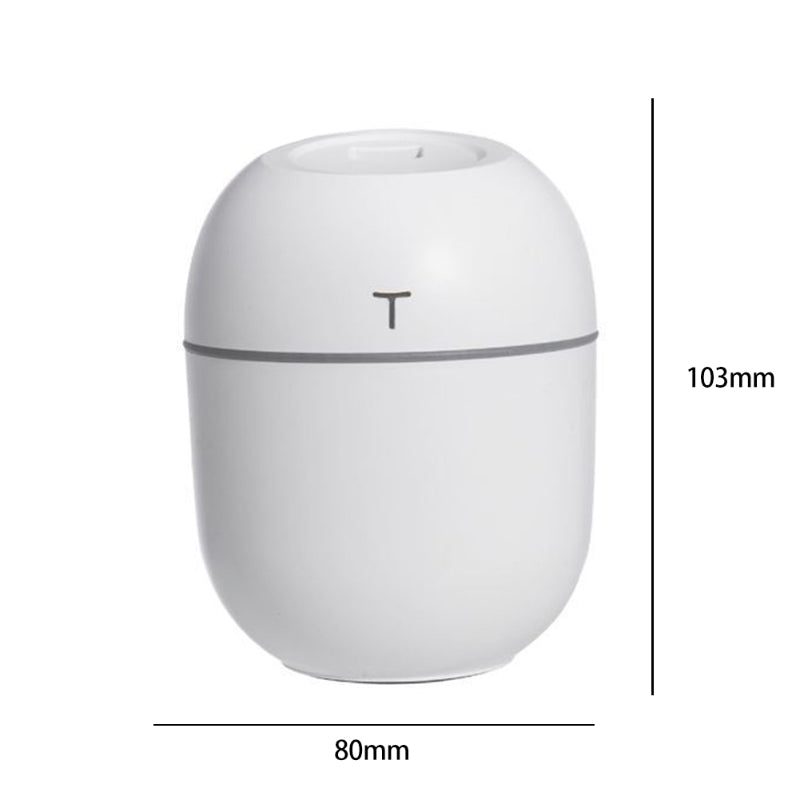 200ml Mini Portable Humidifier